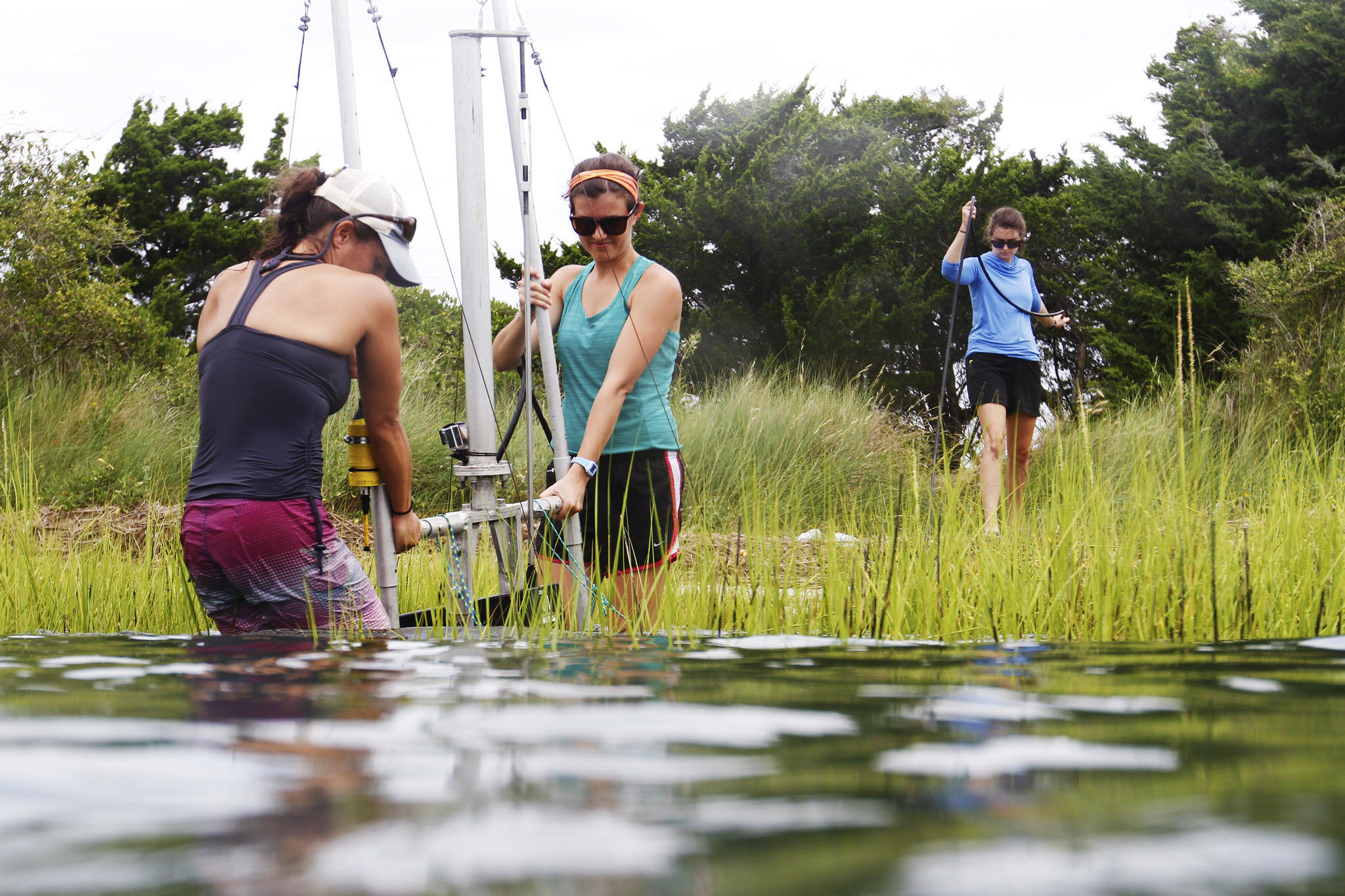 Graduate students perform research on local living shorelines through the UNC Institute of Marine Sciences. (photo by Mary Lide Parker)